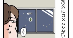 カメムシ襲来…！！