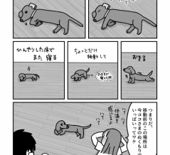暑い日の過ごし方