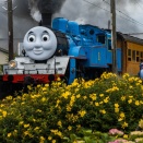 6月の川根路　トーマスの煙