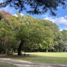 やさしい人ほど疲れやすい理由とは？40代から始める信念の手放し方