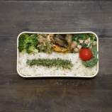 『2026/5/20のパートナーの相棒のお弁当【2323個目】#お弁当 #お弁当作りを楽しもう部 #お弁当日記 #お弁当作り #お弁当おかず #もち麦』の画像