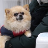 『本日、12/26(土)オープンしています!』の画像