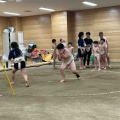 5.16(土) 少年•少女相撲教室 & 稽古