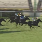 さておき競馬まとめ
