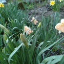 フィッシング詐欺？知らない電話番号の着信には出ない