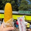 【北海道ひとり旅】北海道でウニ食べようぜの旅 京極町ふきだし公園『道の駅には冷えた水がちゃんとある』