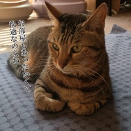 薬を飲み忘れた時どうする？と、ピンクのリング作りました。