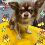 山梨県　中央市　ワンラブ　イオンタウン山梨中央店のブログ