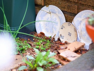 欠けた食器の使い道｜庭に置いて楽しんでいます