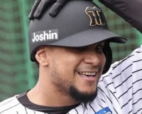 交流戦、阪神の指名打者って誰が適任なの？候補→ラモヘル、渡邉諒・・・