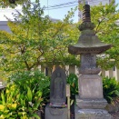 春の東京下町などを往く 荒川区南千住 素盞雄神社の桃の花