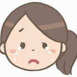 『オランダ島　巡行船欠航のお知らせ』の画像