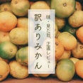 【レビュー】訳あり有田みかん5kgが届いた！味・見た目を正直レポ