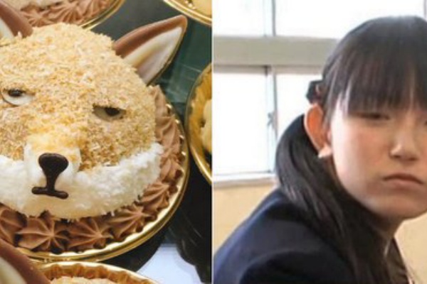 あの チベットスナギツネ ケーキがハンズ池袋店1fで11 15 水 まで販売中 Babymetalの使徒