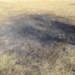 ここは ”日本”　xiexie 足柄SA の 夜間管理人 やってま～す の記録