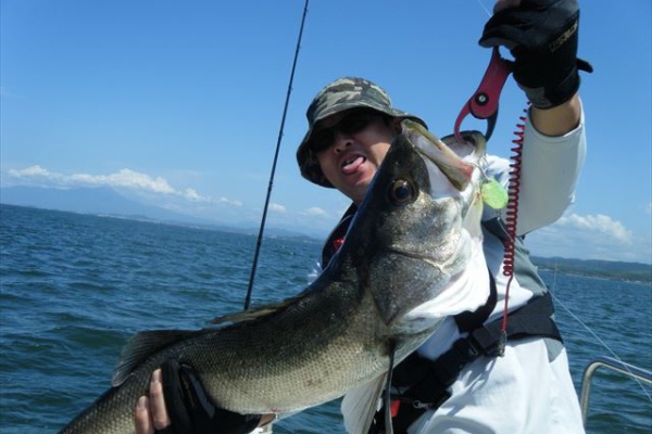 宍道湖 中海 ボートシーバス ガイド船 たたら丸 19年06月