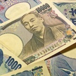 『【質問】日本政府「ただいまより一万円の価値を一円と定めます」←こうなったらどうするの？』の画像