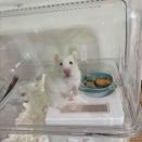 はじめまして！東京暮らしの３姉妹ママ、ブログはじめました。