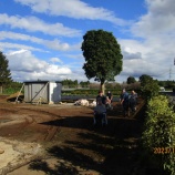 『芋ほり大会!!』の画像