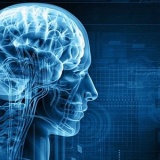 「自由意志は存在しない」という最先端の脳科学理論