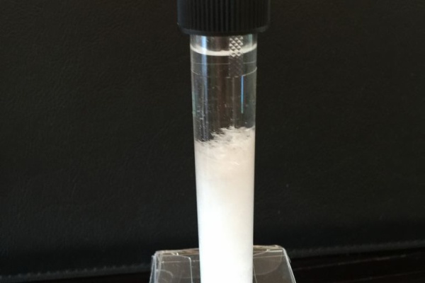 とらのすけブログ 栄光ゼミナール理科実験教室