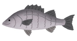 ブラックバス 釣りまとめ速報