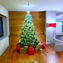 2025.11　晩秋の軽井沢２、グランディスタイルからキュリオコレクションへ