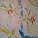 ２月も半ば過ぎに為りました。