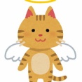 愛猫が友人には見えていなかった。猫が私の不注意で脱走してしまって、必氏に探したんだけど見付からなくて本当に心に穴があいたみたいに暫く無気力だった。でも数ヶ月