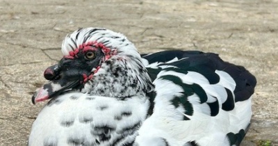 カイエファミリー接待中ふたたび