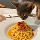 本場イタリア風のカルボナーラと豚ナス巻きグリルとかの夜ごはん