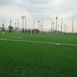 『コスモスにて』の画像