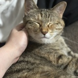 最大級のLOVE、感じる