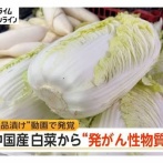 【速報】日本で38年暮らし白菜ホルマリン漬にしてる祖国に帰国した中国人「日本は何も変わらないけど、中国はこの38年で何もかも良くなった」