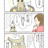 お姉ちゃん大好きな弟猫ちゃん＃７【ねこちゃんの距離】