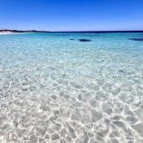 『海辺にて』の画像