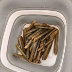 シーバス&ライトゲームな日々