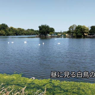 ソワレが要らないフランス暮らし