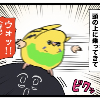作業監視バード カチョは居眠りを許さない