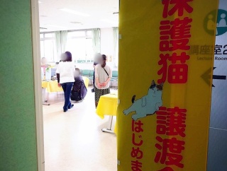 昨日は秘密結社ねこのひげ譲渡会♪