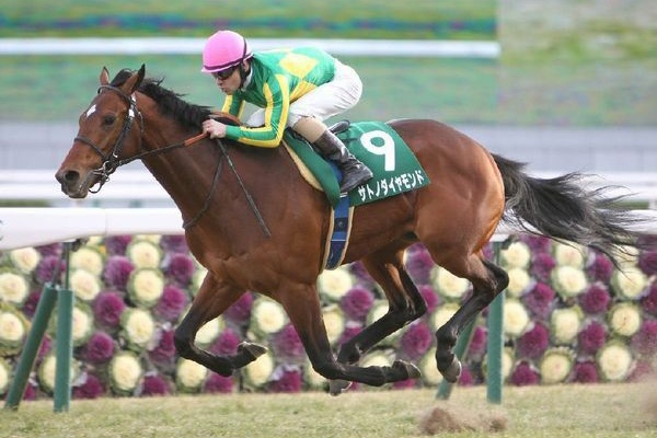 競馬は3点予想のボックス買いで儲かる 回収率160 の秘密 16年05月 競馬は3点予想のボックス買いで儲かる 回収率160 の秘密 16年05月