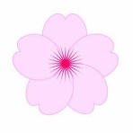 パソコン講師の雑記録