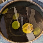 GNランナーのなんでも日記