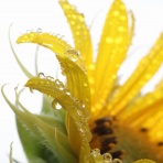 私はどう生きたいのか？