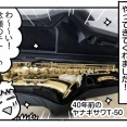 我が家にテナーサックスがやってきました！①