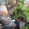 紫陽花☔(2階)