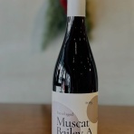 vivo daily stand 大山店