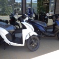 JOG ONE　Dio110 Lite