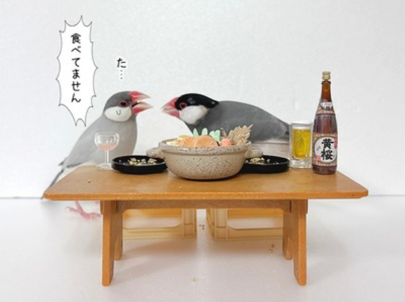 シロ子ちゃんとの約束とジル