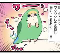 【プリプリ】鳥さんも嬉しくて尻尾を振る？